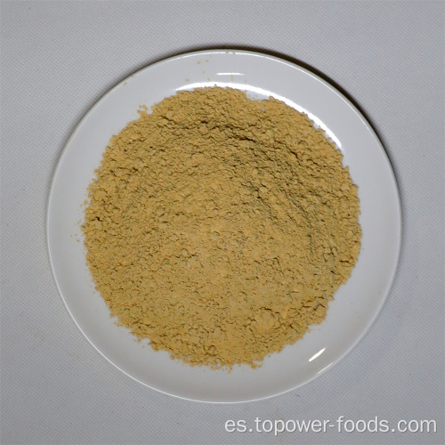 GMO Free Ginger Powder Nice Precio